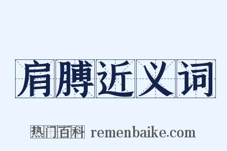 肩膊近义词是什么意思的图片